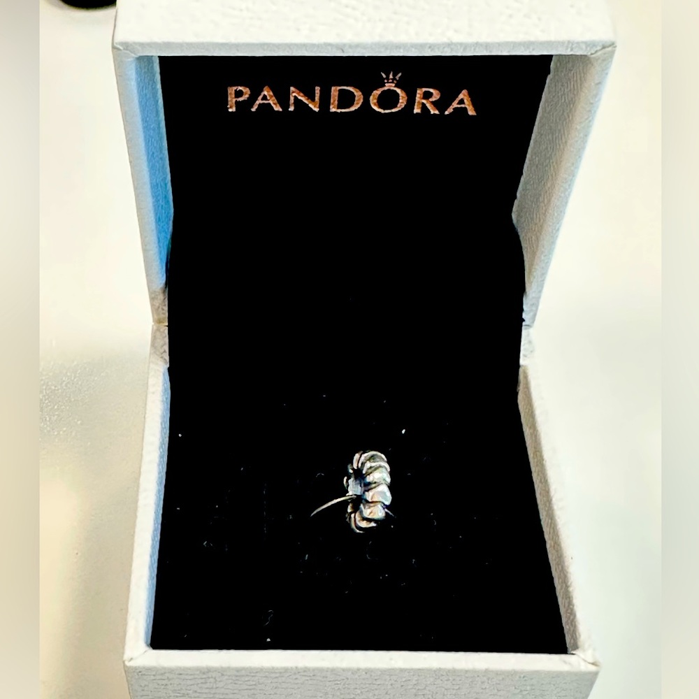 Pandora Spacer Charm